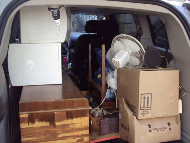 Best Property Management Cleanouts  in Bemidji, MN