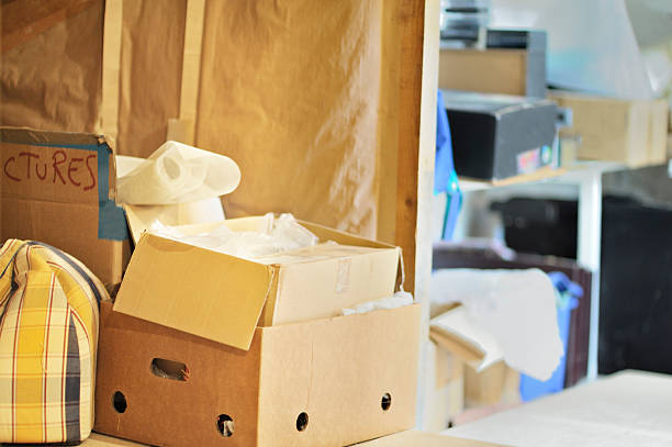 Best Carpet Removal and Disposal  in Bemidji, MN